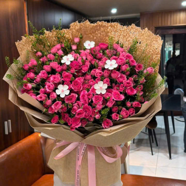 Ý nghĩa hoa hồng Sophia là gì?
