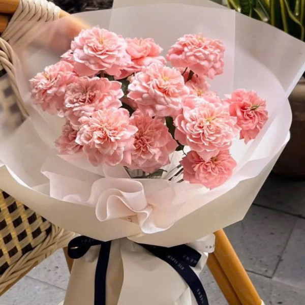 Hoa hồng MiKiTo - Vẻ đẹp lạ mắt cho người yêu hoa