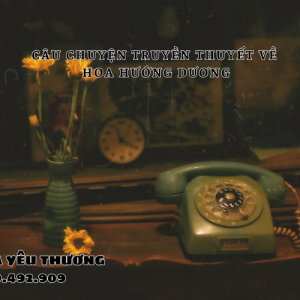 Câu chuyện truyền thuyết về hoa hướng dương mà bạn nên biết