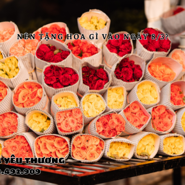 Nên tặng hoa gì vào ngày 8/3? Gợi ý chọn hoa tinh tế cho bạn