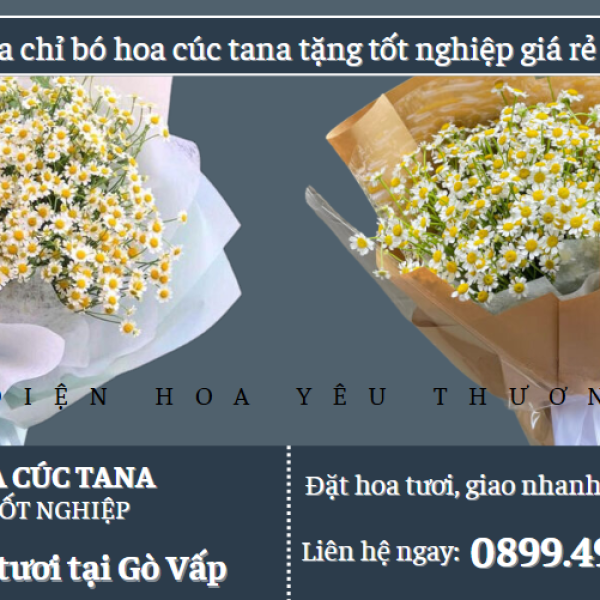 Địa chỉ bó hoa cúc tana tặng tốt nghiệp giá rẻ 150k