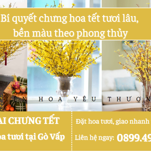 Bí quyết chọn hoa chưng tết tươi lâu, bền màu theo phong thủy