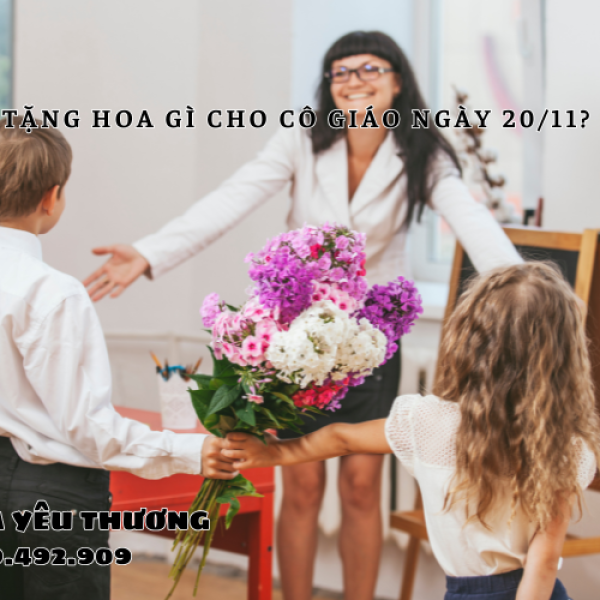 Tặng hoa gì cho cô giáo ngày 20/11? Top hoa tri ân hiện nay