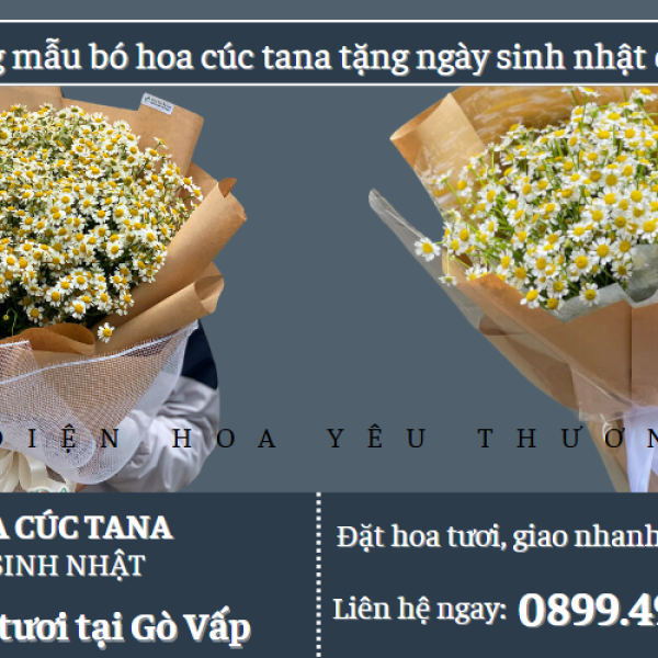 Những mẫu bó hoa cúc tana tặng ngày sinh nhật đẹp nhất
