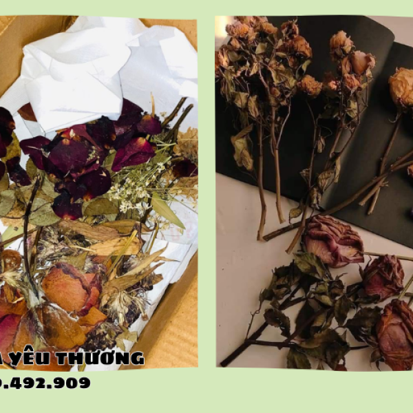 Làm sao để ép hoa hồng khô giữ màu lâu? Thử ngay hôm nay
