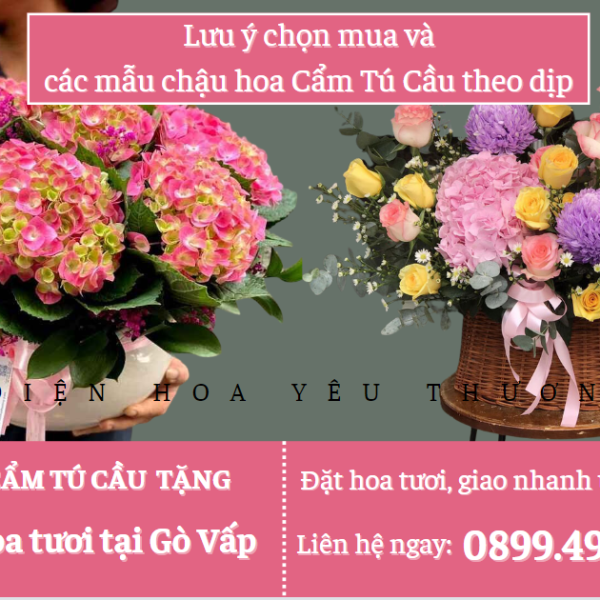 Lưu ý chọn mua và các mẫu giỏ hoa cẩm tú cầu theo dịp