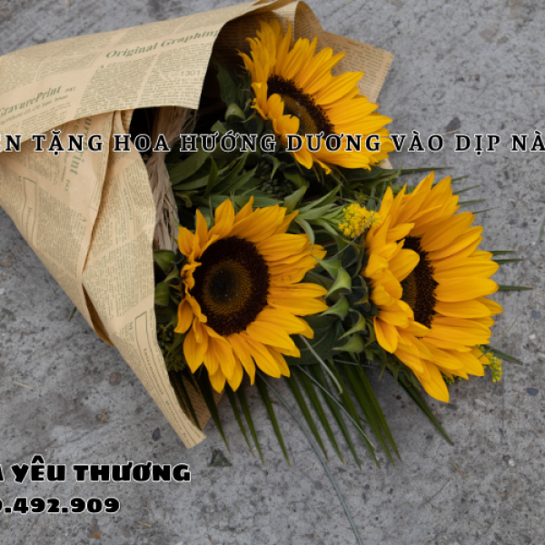 Nên tặng hoa hướng dương vào dịp nào? Cẩm nang cho bạn
