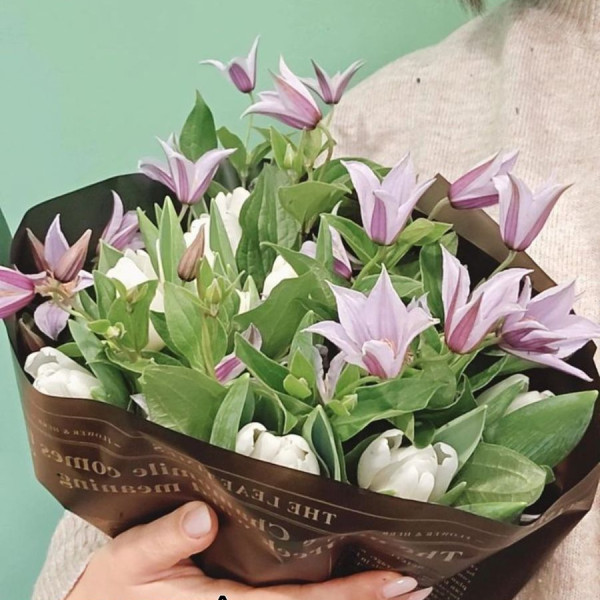 Bó Hoa Clematis: Ý Nghĩa, Cách Trồng Và Chăm Sóc