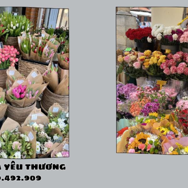 Hoa tươi gần Chợ Hạnh Thông Tây – Giao trong 2 giờ