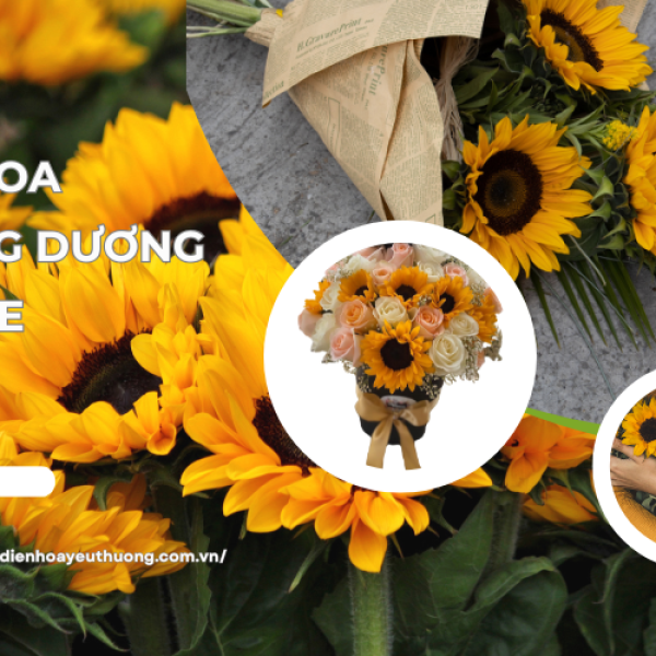 Đặt hoa hướng dương online ở đâu giao nhanh, giá tốt?