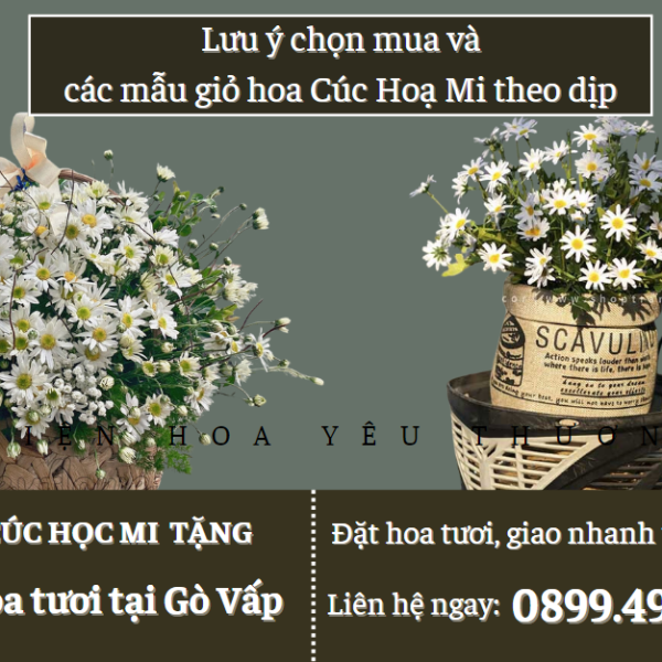 Lưu ý chọn mua và các mẫu giỏ hoa cúc hoạ mi theo dịp
