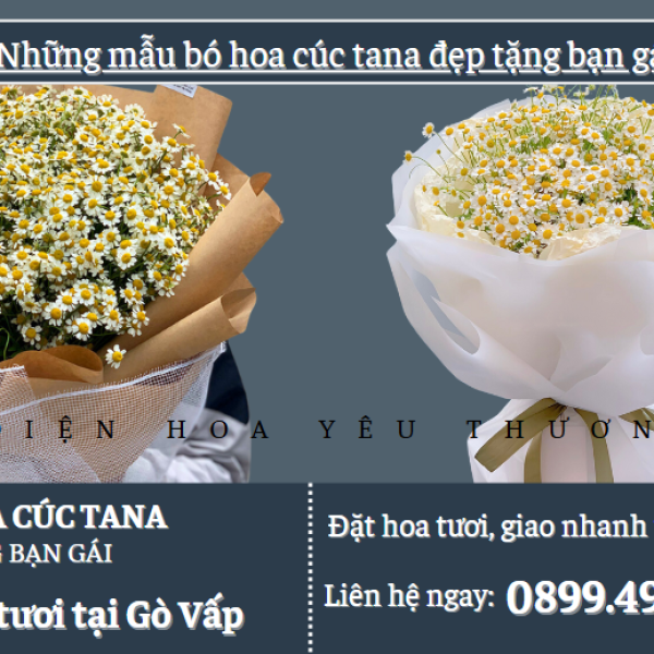Những mẫu bó hoa cúc tana đẹp tặng bạn gái