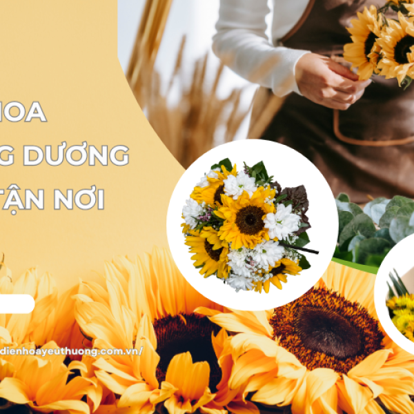 Hoa hướng dương giao tận nơi - Mua nhanh chóng, nhận dễ dàng