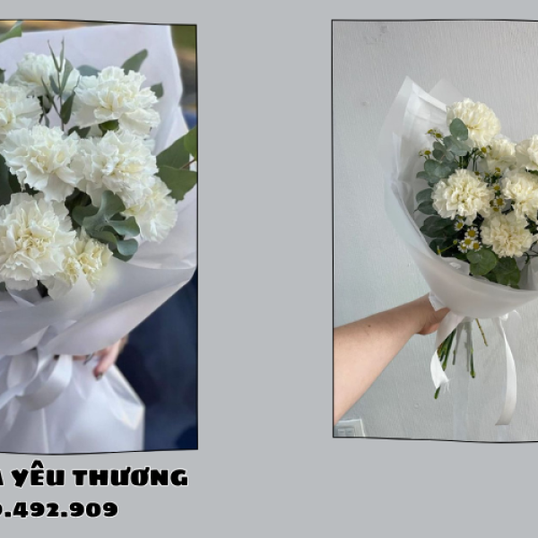 Hoa mẫu đơn phong thủy giúp tăng vận khí gia đình