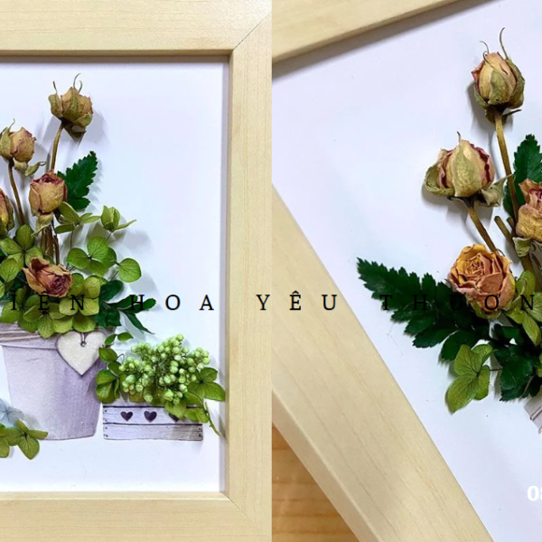 Hoa hồng ép khô làm tranh - Ứng dụng nghệ thuật độc đáo