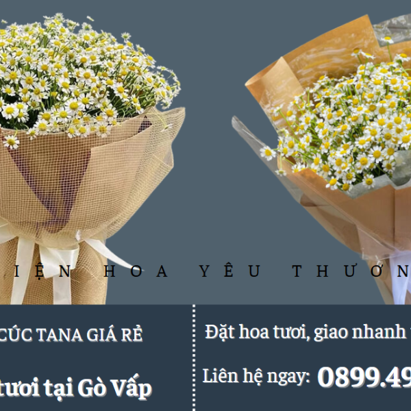 Bó hoa cúc tana giá rẻ và ý nghĩa cho người thân