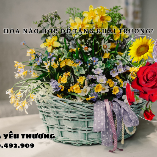 Hoa nào hợp để tặng khai trương? Chọn chuẩn là mở lộc ngay