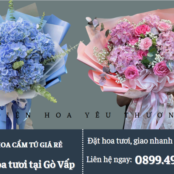 Bó hoa cẩm tú cầu giá rẻ đẹp mắt và ý nghĩa