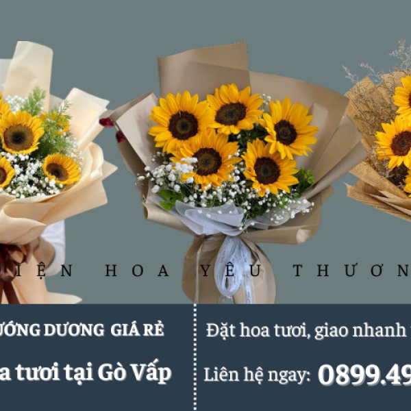 Hoa hướng dương giá rẻ mua ở đâu đẹp và chất lượng?
