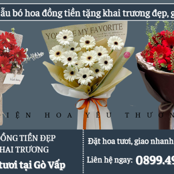 Mẫu bó hoa đồng tiền tặng khai trương đẹp, giá rẻ