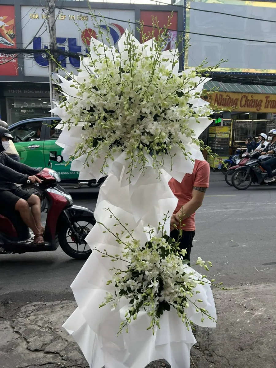 Kệ Hoa Tang Nhạt Nắng