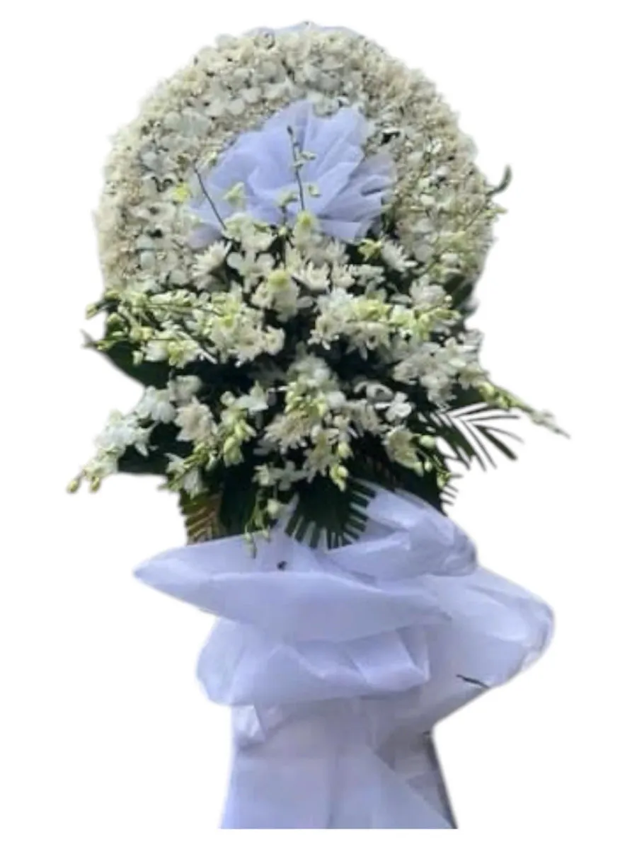 Vòng Hoa Tang Đường Về Thiên Cổ