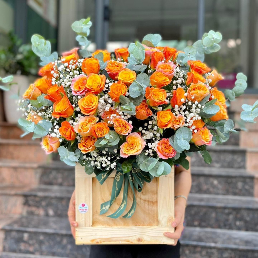 Niềm Tin Ngày Mới