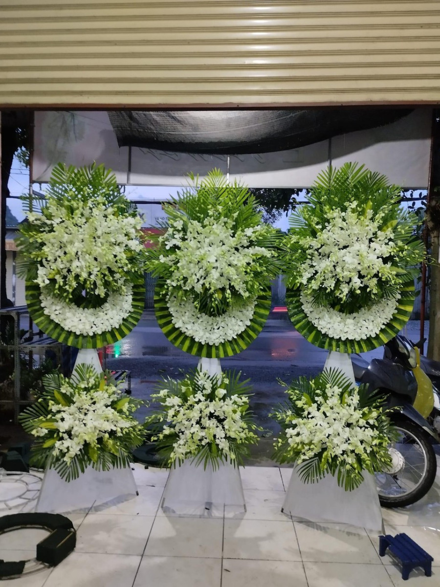 Vòng Hoa Tang Hành Trình Xa Mãi