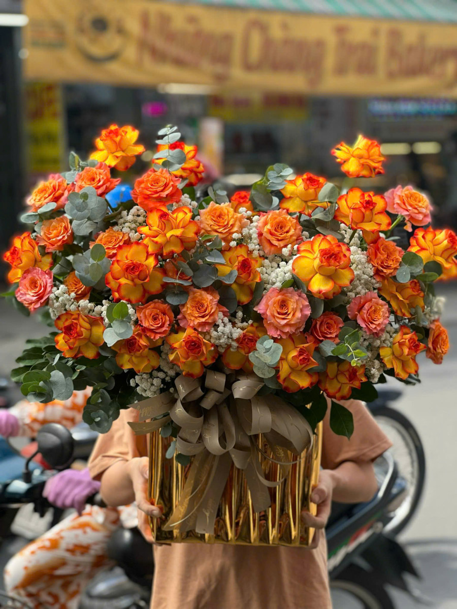 Tỏa Nắng Ngày Mới