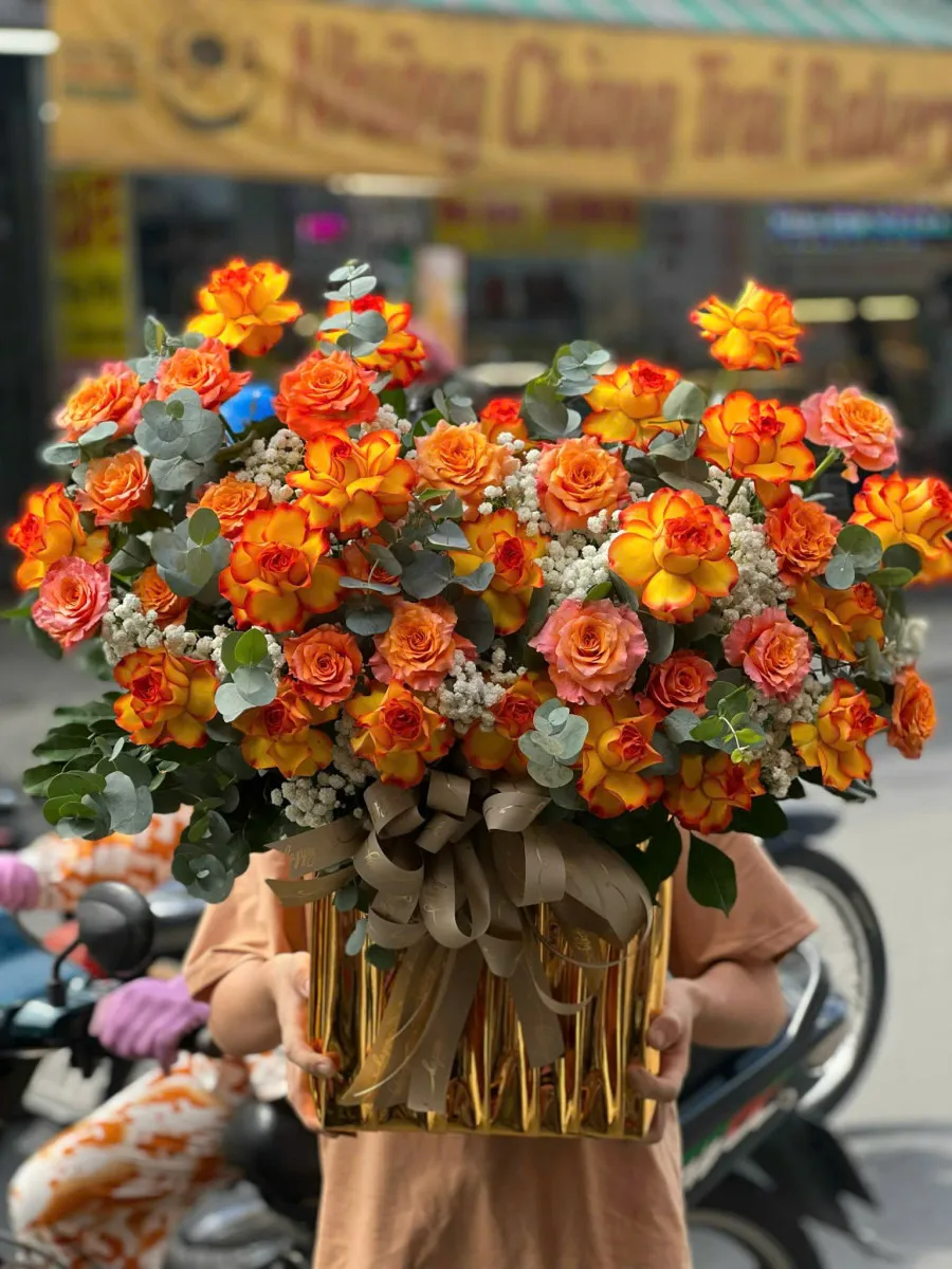 Tỏa Nắng Ngày Mới