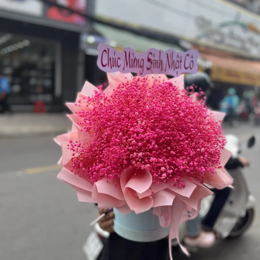 Sinh Nhật Vui Vẻ