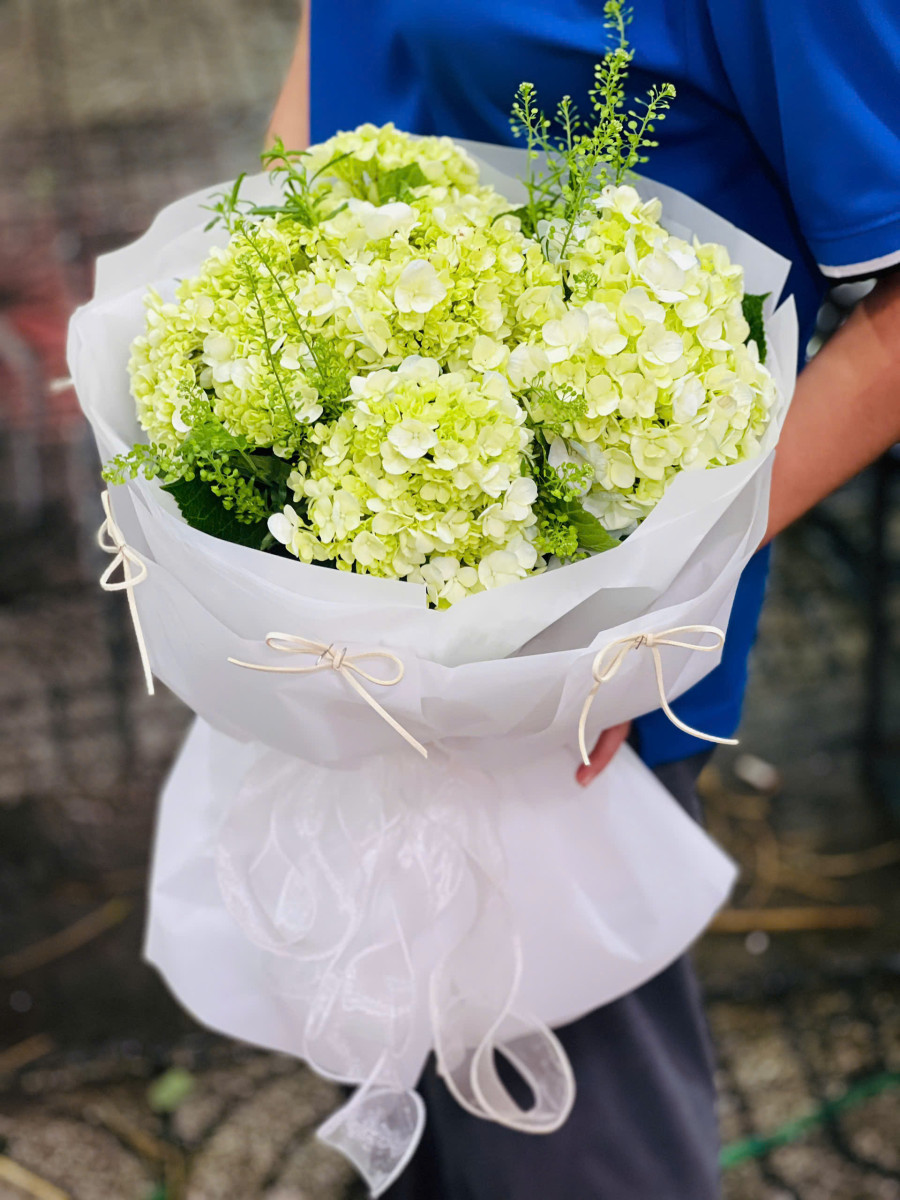 Bó Hoa Cẩm Tú Cầu Xanh Lá