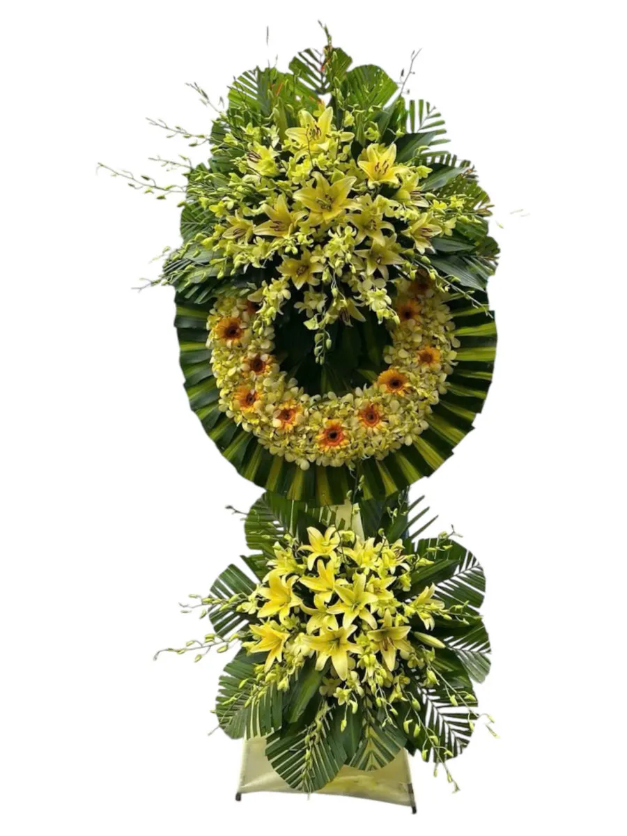 Ánh Sáng Vô Tận