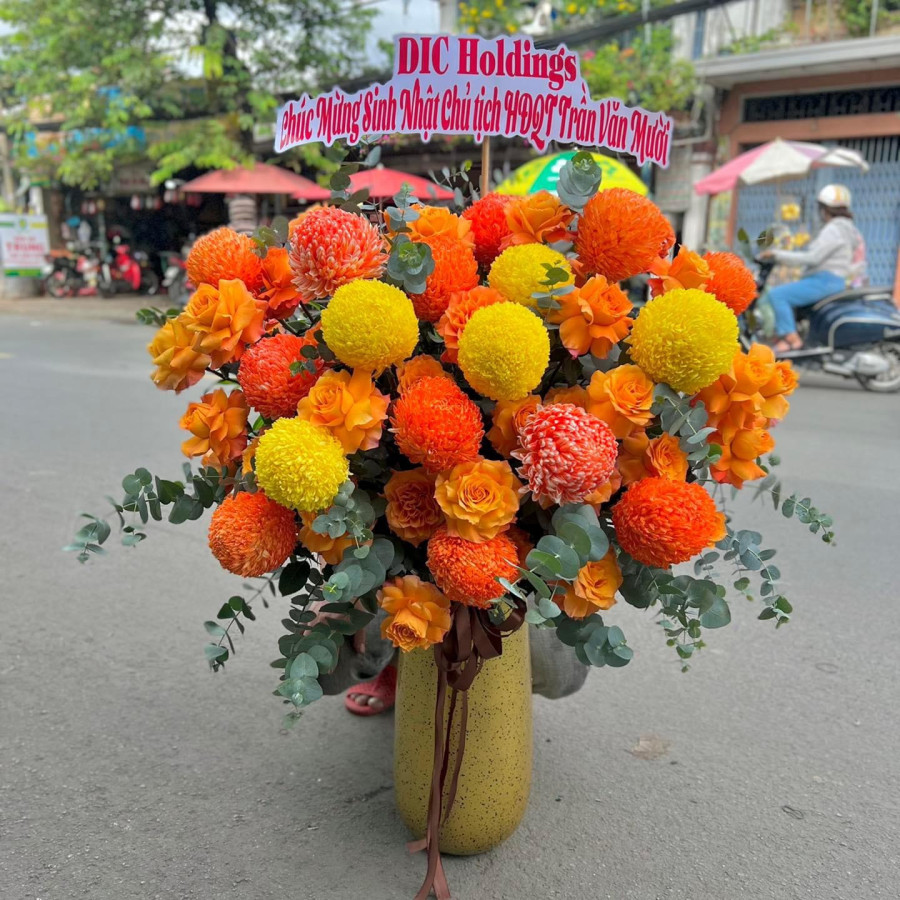 May Mắn Ngày Mới