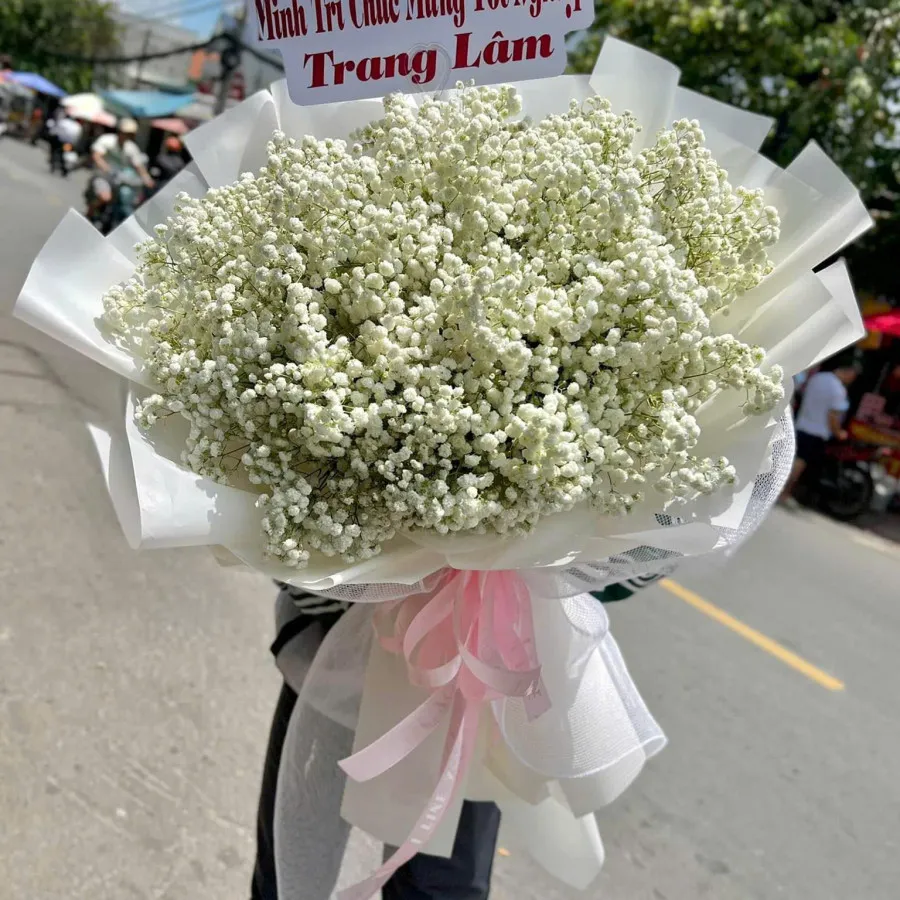 Bó hoa baby trắng