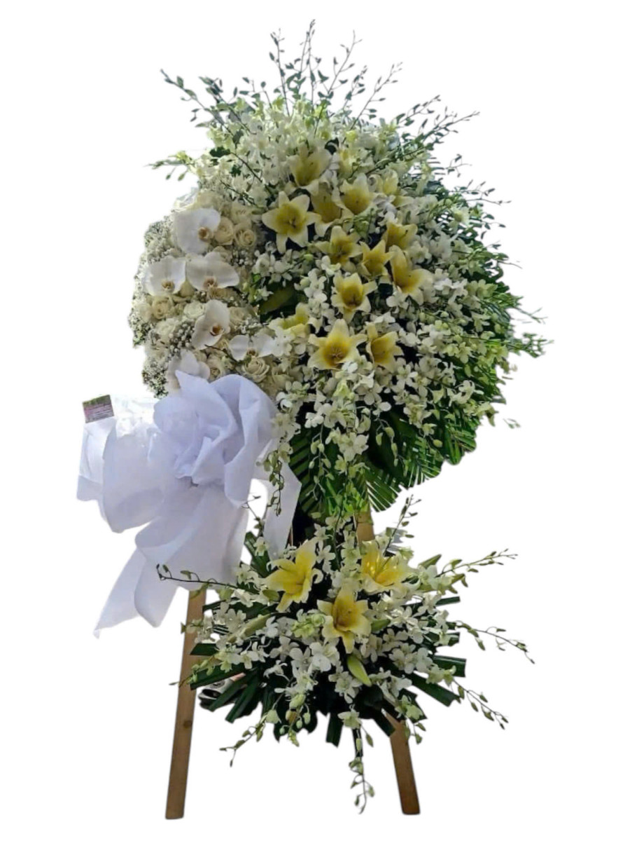 Đưa Người Sang Ngang