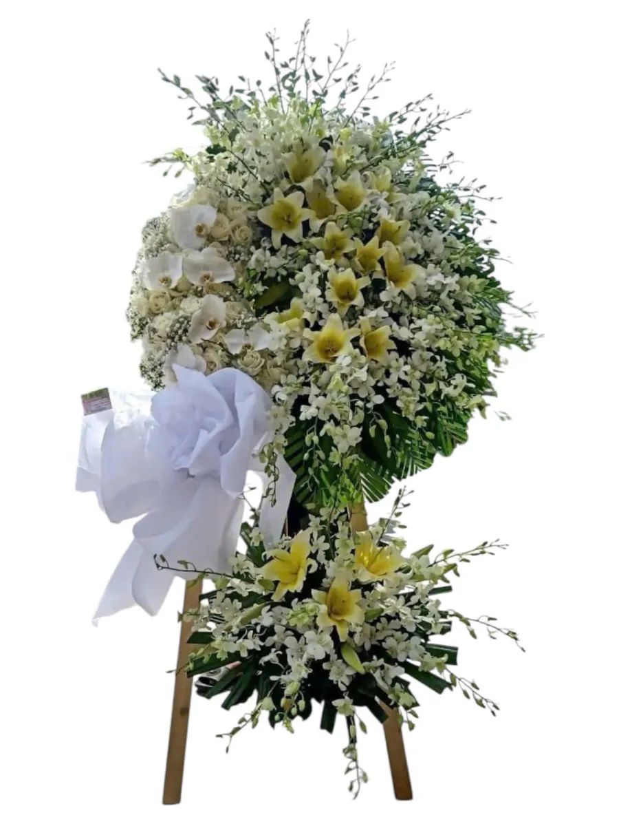 Đưa Người Sang Ngang