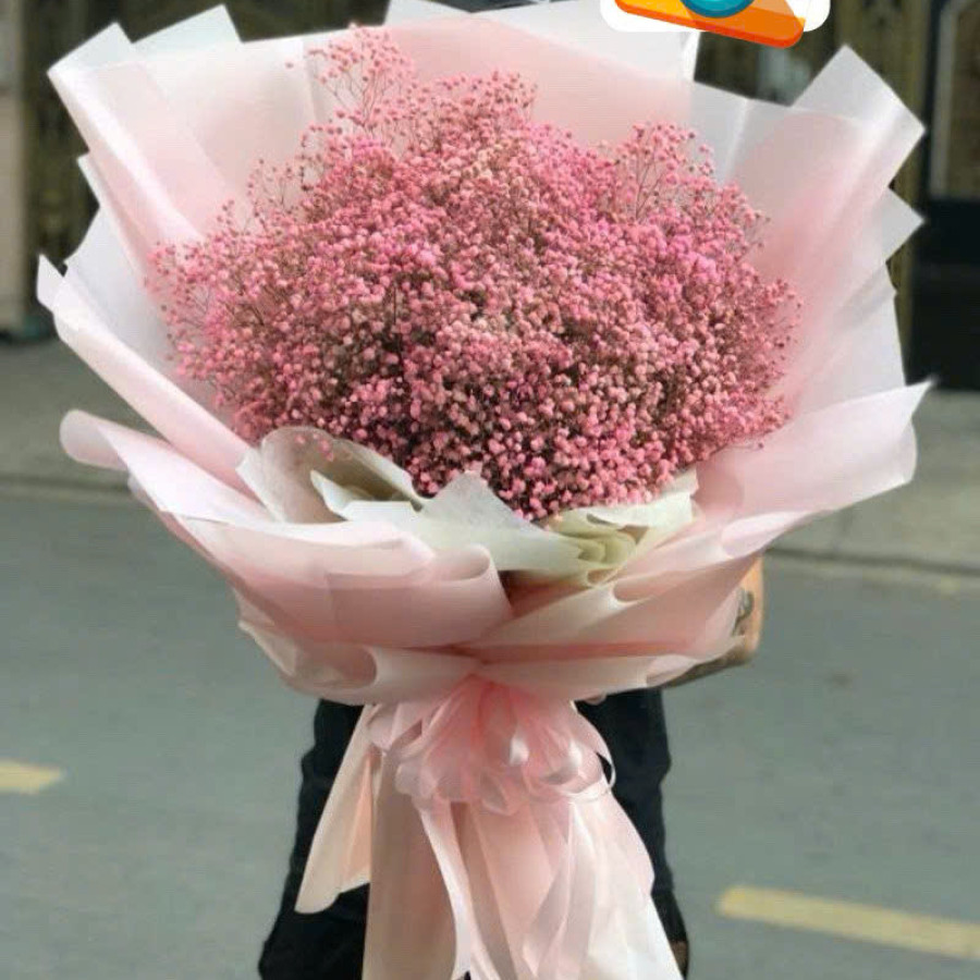 Bó hoa baby hồng giấy hồng