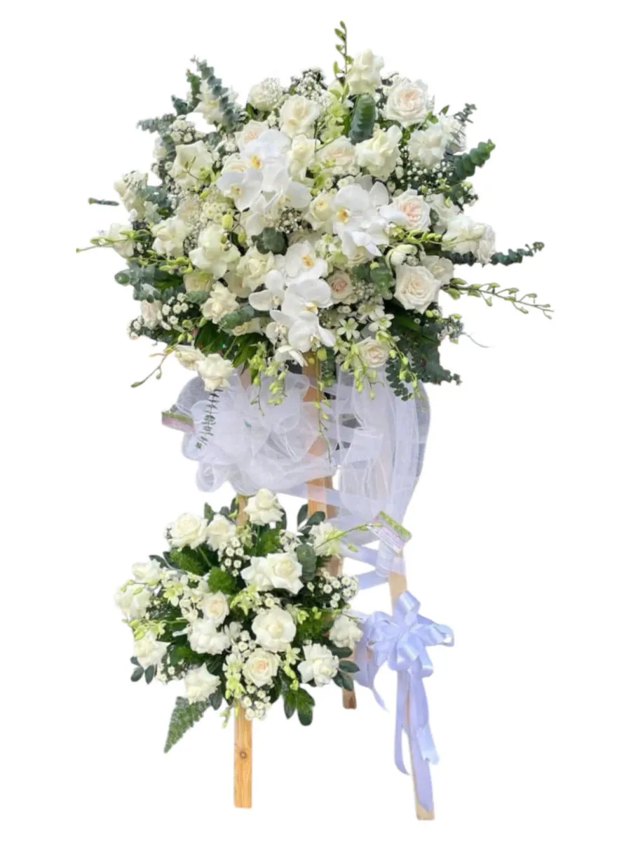 Kệ Hoa Tang Bình Yên Cuối Đời